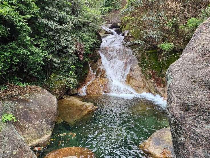 你还在相信“退保维权”吗?其实这样才能更好地维护自己的权益